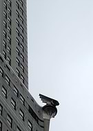 2021-01-15/6be2612b68f48eff5c1929a1c81f2457_8b76b0fae3f2fd7ad8a2d7335390d918