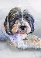 2021-01-15/759aac9f876e9e39c901fba15f31aff8_55fc1c7c7a090d9dd9ac2fa5045f759b