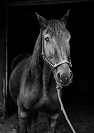 2021-01-15/7d9e32f8d2996e1439c0d20f1e54ae21_831104b4a267317300f50e6120f1146a