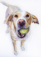 2021-01-15/cab3771fd60e43223f304b9d83e9726d_50f6efe58ea668297df3218bba9a4a5c