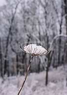 2021-01-17/f0907a972314bad185846fbaf140c749_72f79297839d04f3be3eb9a853665027