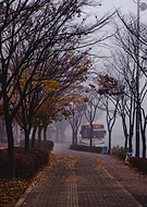 2021-01-17/ff3887430fde70fbd6d7cf27df2faffe_e0de9ebb65a09a8cee40775ea991fe8f