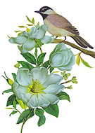 2021-01-18/093be10ed84f49a6723aa62a9469b0b1_ba381f68235aff0eb695cd514554522d