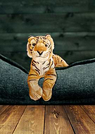 2021-01-18/cfa91ea1184451839358f651f4ceedde_b4036c433b52af21660e263cf0c58c9d