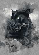 2021-01-27/4008ce817559b8459b55b0778dc864bd_48d20ddbf058b7edd98e0a4e38f27cbc