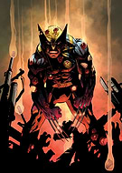 collection-preview-0