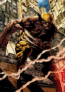 collection-preview-1