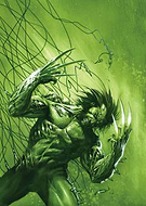 collection-preview-2