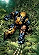 collection-preview-1