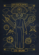 collection-preview-2