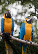 2021-01-30/3d3fa60e15e01c1fcbf7c3f0cb348184_94b89bcbc5452de5babebc74ef955e5c