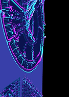 2021-01-30/e281b4ceb8c94fc8f2c8206cc89f58b1_9307fe44fd25780dd81fa0103dd7e047