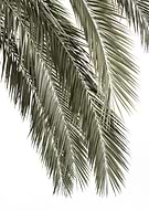 2021-02-05/c5f70ead18b87998351826305e46512a_b7b4f018eb9d2d546a41e8f6bf09d786