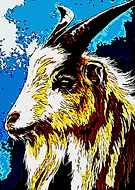 2021-02-05/f2d7091bd2e660f70b6dddcfa45e54ae_069bc030f6af045cfbc1914ddb2dec78