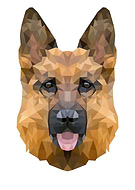 2021-02-16/8aec264b02bb14bcd58023516078606b_f95d43f65962bf5438d8d2313607e103