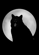 2021-02-18/78c90b4257d65eabb09d41d581e262f4_723a474430430d690f7da19c090e8cb2