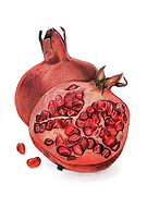 2021-02-18/a091ed5176a33295bbc25fc3f476565f_28aa85124dfaee891cf666d62a391090