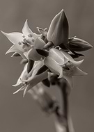 2021-02-19/182d1dfcd7a827557c8f636479187626_581ee72db7e92e78ff066961fe141e9e