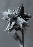 2021-02-19/cb65e4c2511eed877638482e5fdd7f83_726779600eeae3a25d7d935d77d094e3