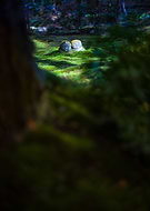 2021-02-21/d3d7f9193e805142efe23f97d6dc500b_587f7c6815d003d87b4b70eb81221b2d