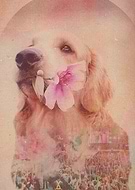 2021-02-23/7cf5bc9e3c4868b1b035bfec9f857fc7_22a58a5e7decf291be4a45bc498a173f