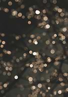 2021-02-24/8d6d630d04a693861ce984c90f40fc6e_28866683d1073e8247fe5c193a3e5f4c