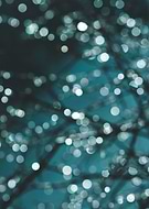 2021-02-24/ef1ff67854bc9cf7d71d824f5f85a6b6_7c8a4a21cbd1cf0033bcd33517075181