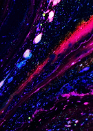 2021-03-01/ad1349f81faefad9bd4a3e0a2a7288a7_303184c3e77efdac1a3d556dea9e3409