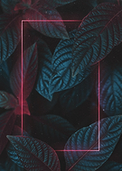 2021-03-04/7721109533102983c5349de7cc961fff_6e00e03090a01557e606a57901d116ae