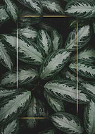 2021-03-04/c616b1f023027834b671bc8c6a29993a_d9456c0ddd6aab1dcf0ee8ee7a7106f5