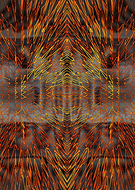 2021-03-13/61e5cab283f39aa3e5c33ce1881371a4_549a9789c4a398fa515ced169aaf76e6