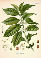 2021-03-15/01711cbc0f4c8cf30d6fd01a352d680a_37958a8f35cdd9da7d8db442be4780d7