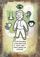 collection-preview-2