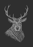 2021-03-16/3ace54cdc1bb999f5e5c5c74a19c171c_d7d7f7b003084623d48038c8d3846aa1