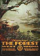 collection-preview-0