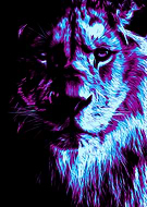 2021-03-18/d832c0f630e5a4a9093e6682dec1df8d_b727293b2a86ca9faeca918e06f05c4b