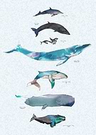 2021-03-26/213a99bf1a19b2b239bcf1b30060f3ae_21d3715433d907b948c2b1100060b89b