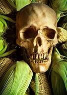 2021-03-29/19271387a1ca40742bc9278d1ec07d57_8a85e1aac77772e1fe15abf203ec77ab