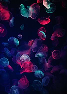 2021-03-30/646581883e1b388652164f0dd16caf52_2741b720b9f7d91d2fff7038e9a55455