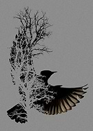 2021-03-31/8818d78a973a9c2d549cd64ff19d63f1_99ada00158de90ae47f0e7e8b8970e94