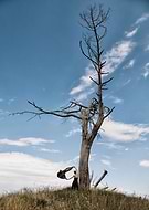 2021-04-01/d811dfd92c0d09d8f33c8ca5d67f4e67_85eb0659aad3a9982ee0c1c5891a23a3