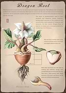 2021-04-03/9cb744c3910977af5de68cd14555ac1c_54ba896f5a5222168d8d3d4e7c4cc356