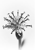 2021-04-05/19f32db7e6c84f063075d542240a76e5_4ac77260c29ad7ea0befb861d76749f6