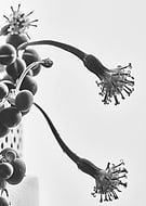 2021-04-05/e6752c090d1cc694867cac84523d17ac_5b7e222f5d904502510fa51d8eb716b5