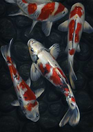 2021-04-08/e8083d59a5b0c2f9dfc267c15f16f0be_22973b73e96d07e725ce051d1d9f7c66