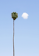 2021-04-09/3ca195557a81aa516c7dc3edc41df5f8_a36cfe184f9c00760f31fa91d9a0be70