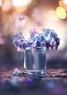 2021-04-17/4749c122fcf89de8ddc6c66b4c8e9082_fd0416fb1cb376ea6e57fb53c7e267d4