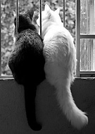 2021-04-23/30f6e0f73ddd3e5e435bd991cdd92cf6_a24628ed1f9f5fac21338eef4eb8aabf