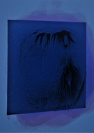 2021-04-25/3e89b48c99e43640c8569bd09ef7b99e_c43fdd791eea0103e210c07acd00786d