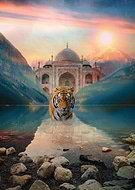 2021-04-25/901c00b43cd0623cc13f89f851e59d59_1d88e90b0f43bdf6a38f1b7c5c6dd610